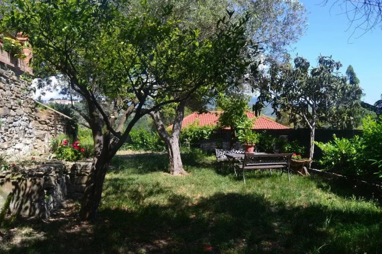 Casa Teresina