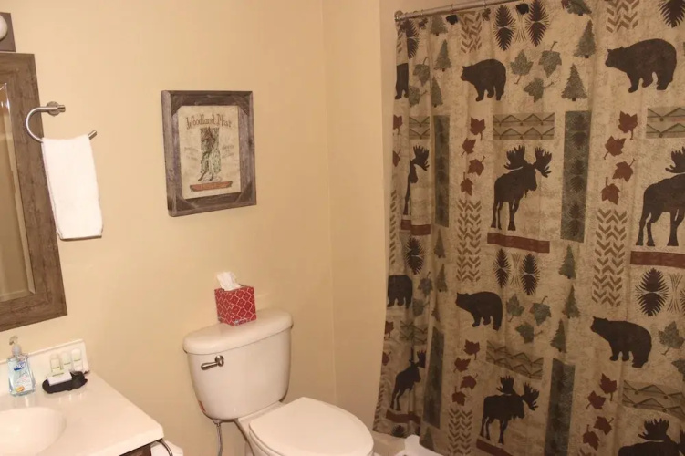 Tweetsie Retreat - 3 Br Home