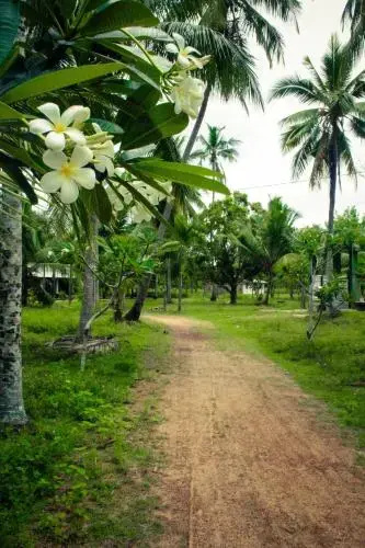 Retreat Chilaw
