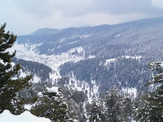 Pride Resort Gulmarg