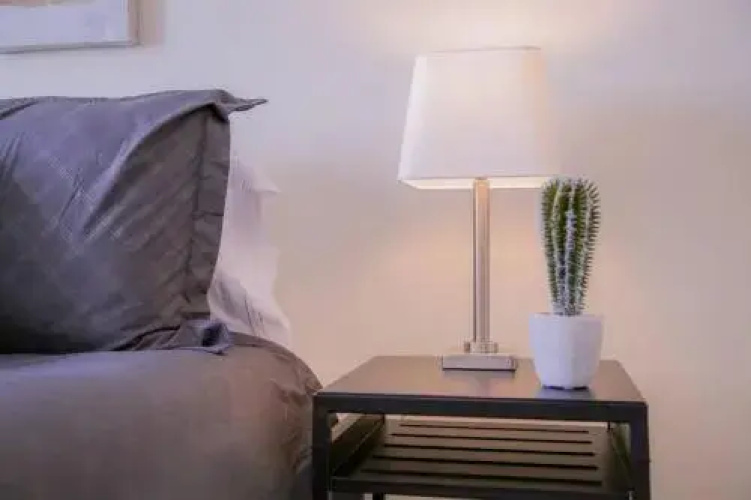 Luxe Modern Downtown 1BR w Balcony