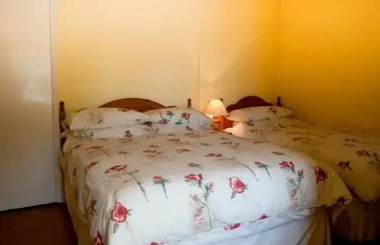 Shamrock House BB