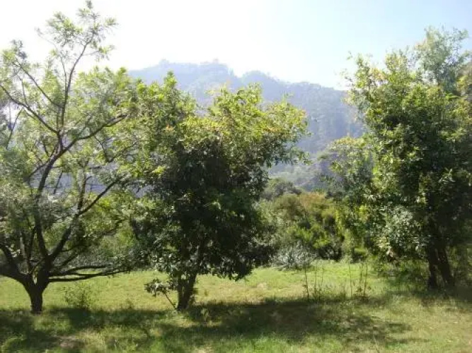 Posada Xamicalli