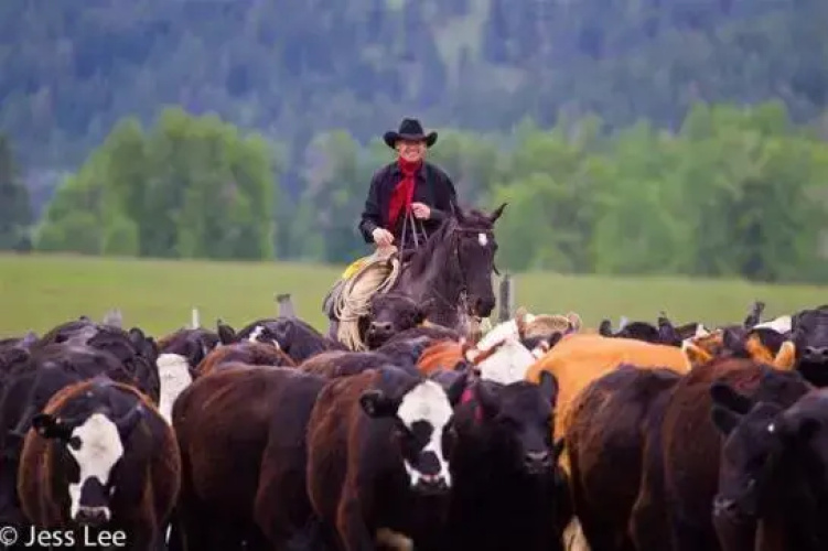 Triple Creek Ranch