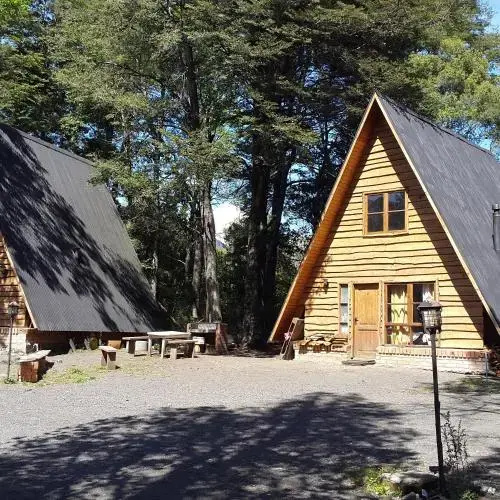 CABAñAS LAUTARO PUCON