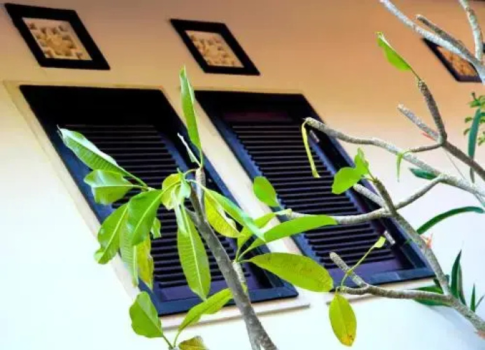 Latugu Homestay Ubud
