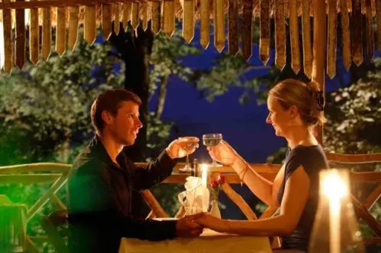 Vanya Tree House