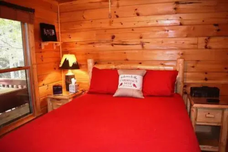 A Cardinals Nest