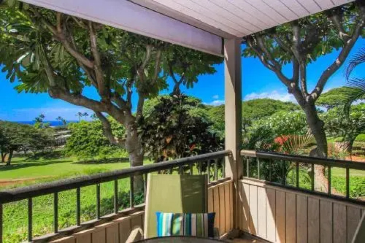 Wailea Ekolu #203