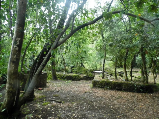 Cabañas Recinto