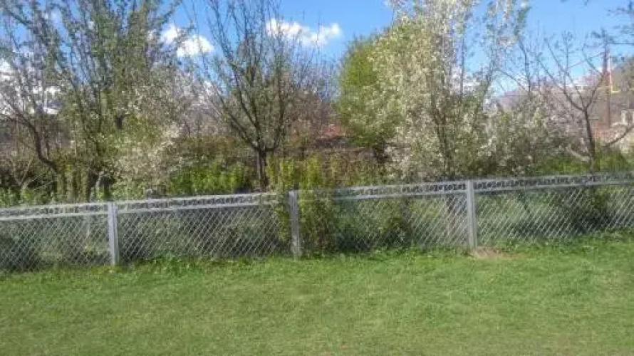 Guesthouse Blossom