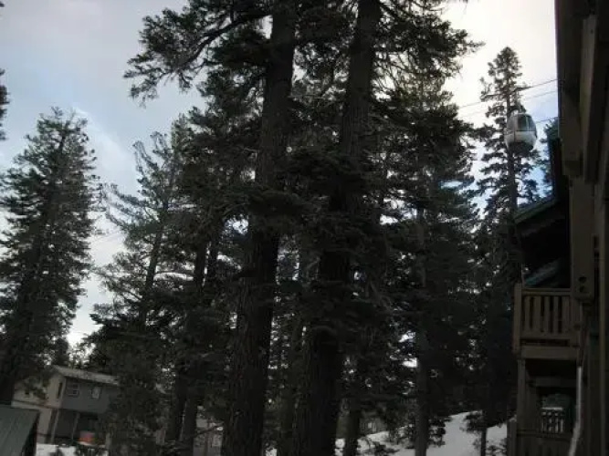 Western Slopes Villas 11