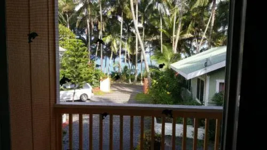Whale House