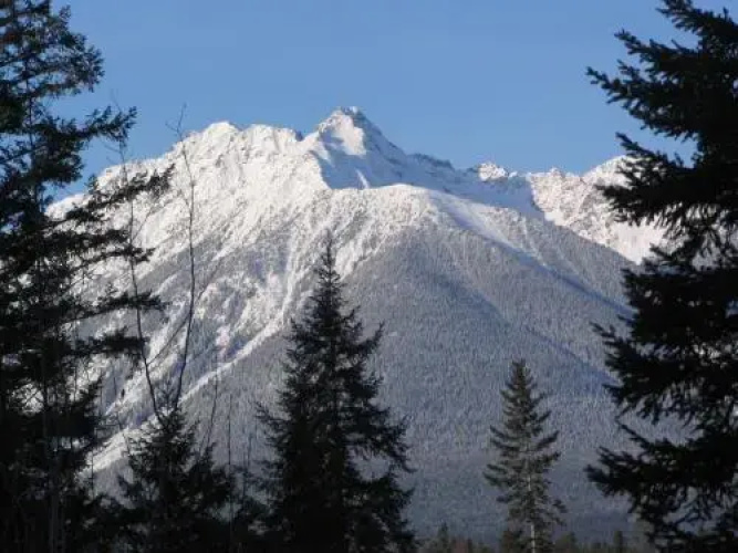 Bearberry Meadows Guest House