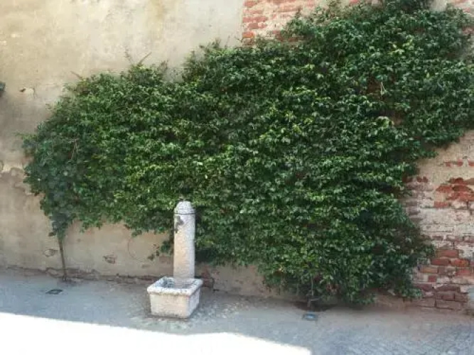 Appartamento Margherita