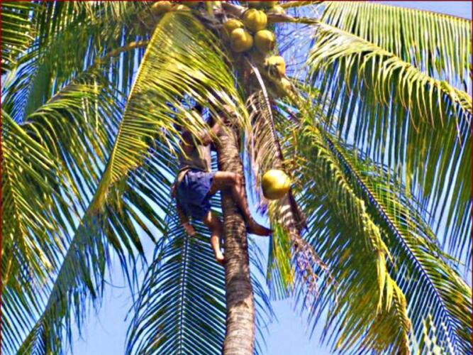 Treasure Island Beach ResortOver view