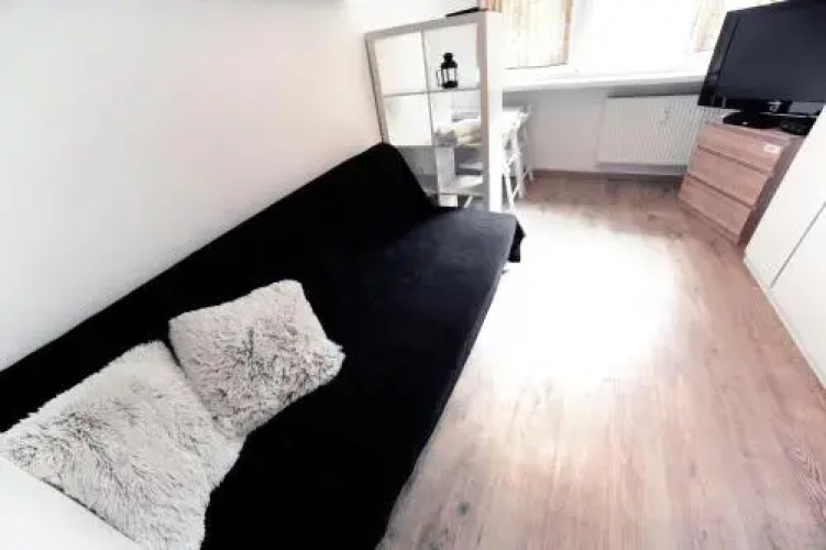 Studio Domino