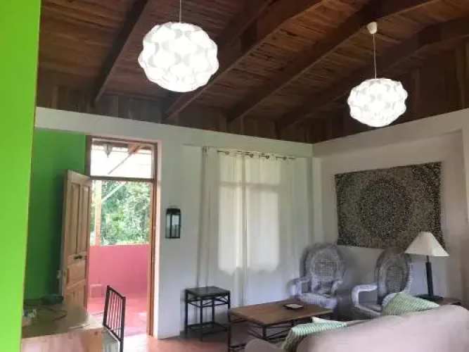 Paraiso Carlisa