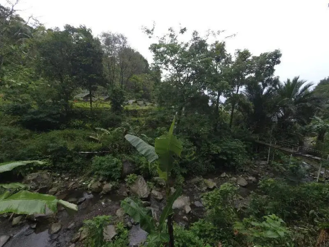 Herman Lantang Camp