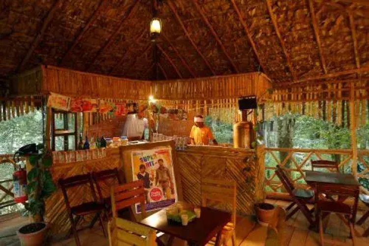 Vanya Tree House