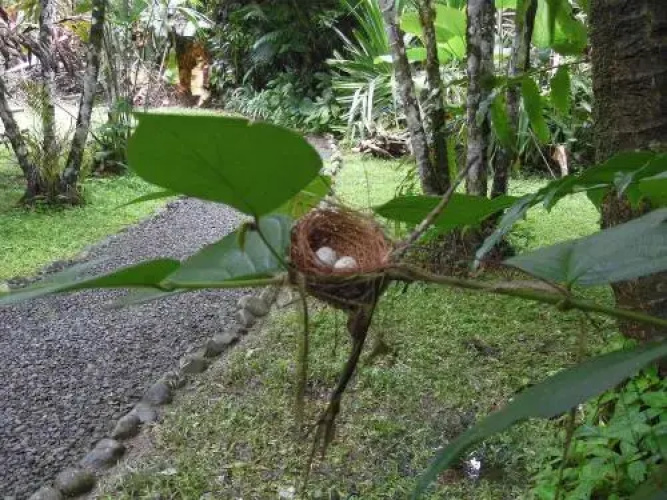 El Colibri Lodge
