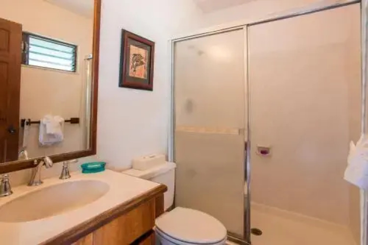 Kona Reef A37