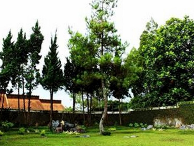 Outside