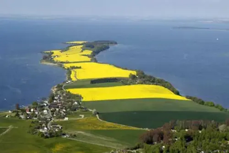 Karolas Landhus unterm Reetdach