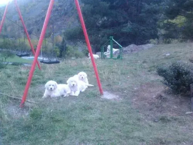 Camping Serra