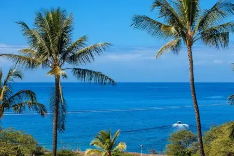 Maui Kamaole #G-210