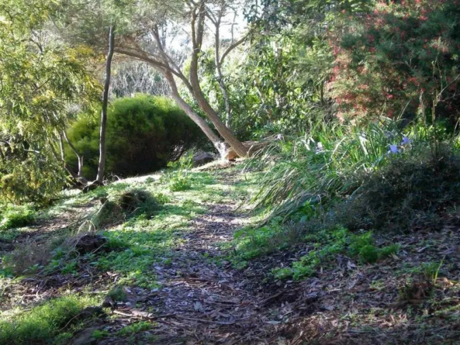 Beachbreaks Tasmania