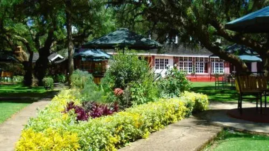 Thomson Falls Lodge