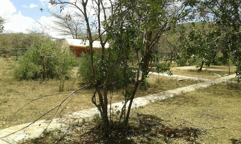 Outside