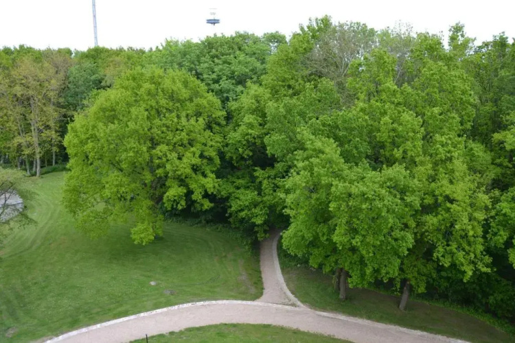 Meerblick FeWo Nr A-43