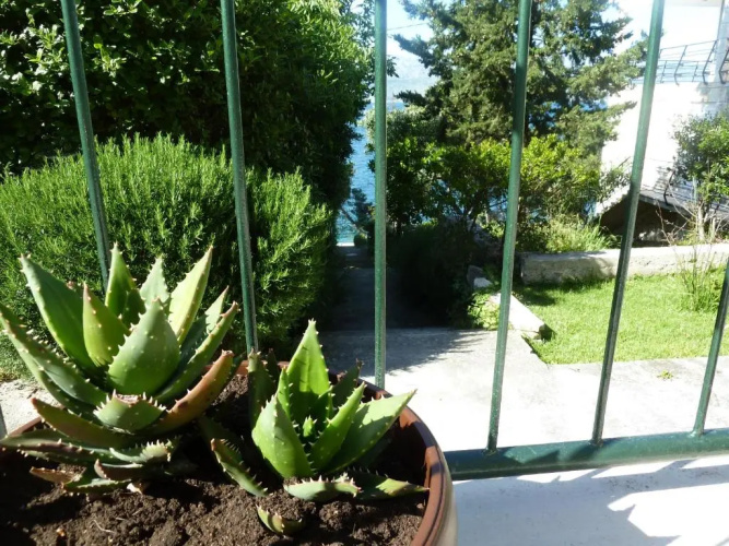 Apartment Vanda