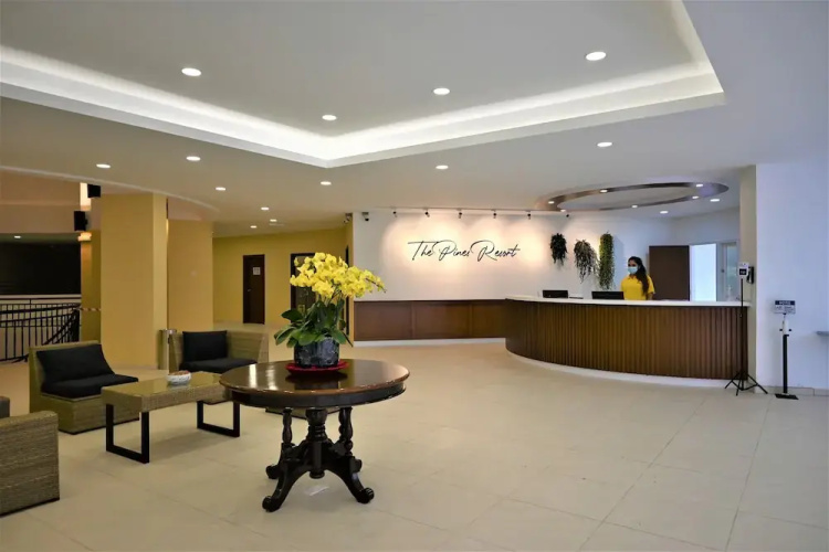 The Pines - Raub