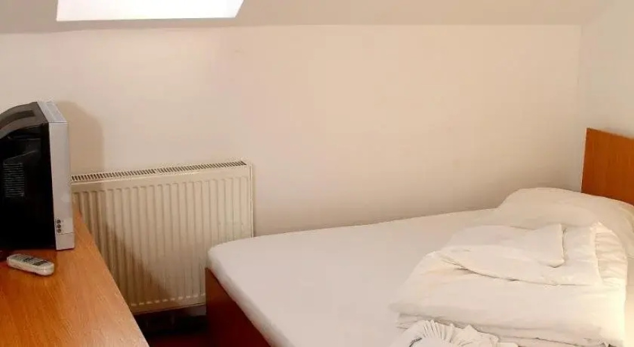 Pensiunea Timişoara
