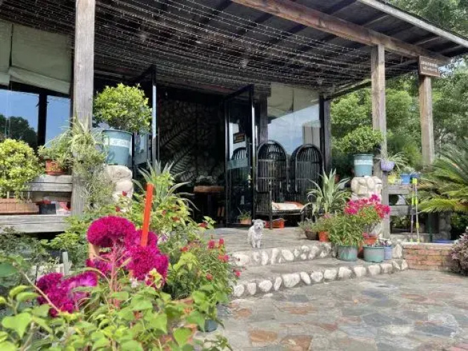 Plantain Inn