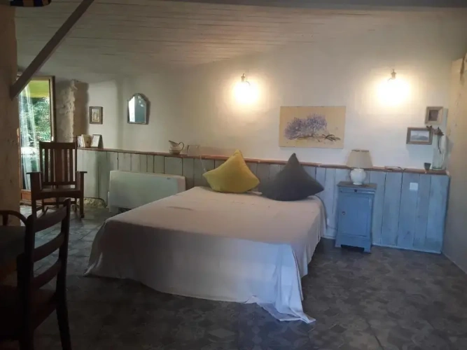 Standard Double room with garden view
