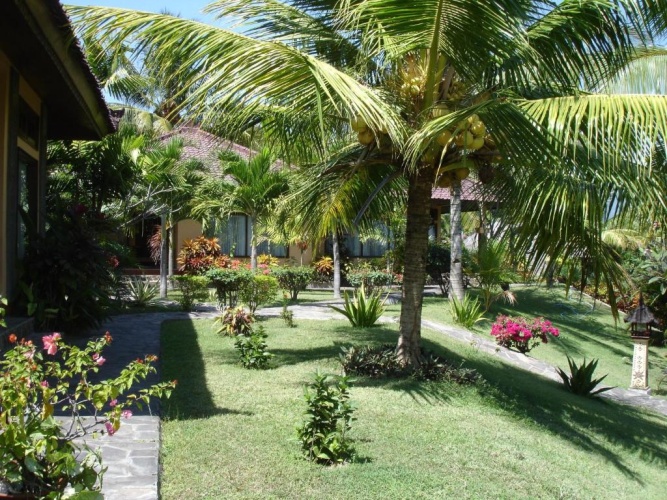 Standard Double room with garden view