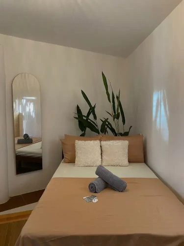 Deluxe Double room with garden view