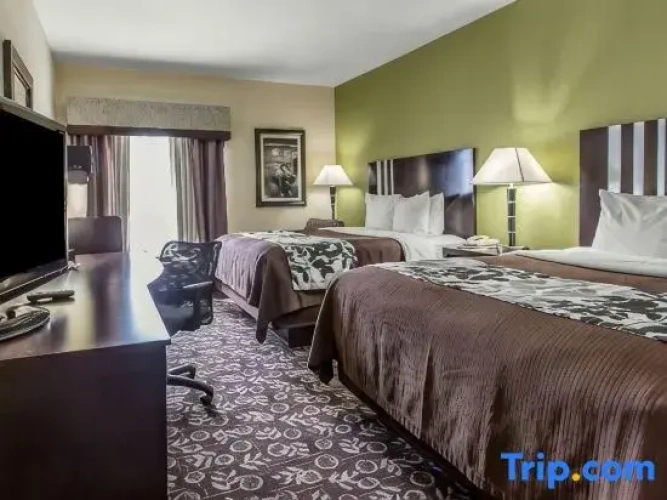 Quadruple Suite