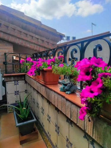 Hostal La Cepa