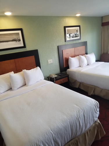 Budget Inn