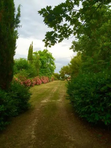 Il Colle delle Terrazze