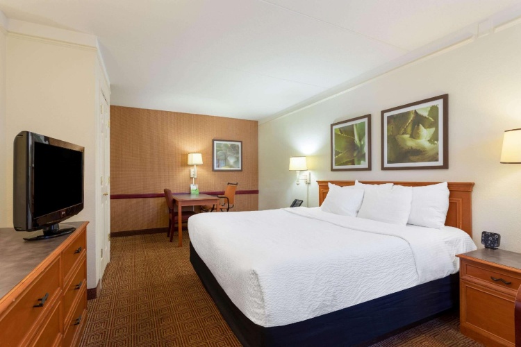 Double Suite with city view