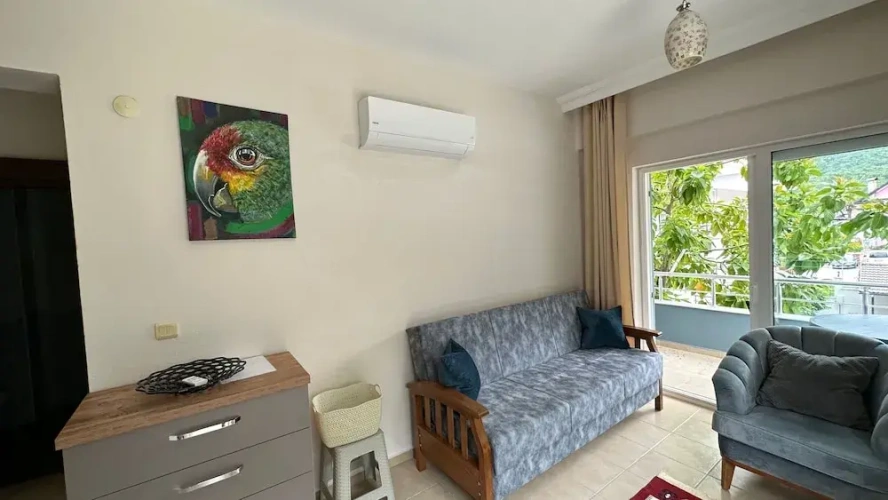 Classic Apartment