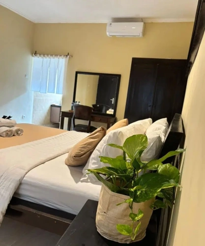 Standard Suite