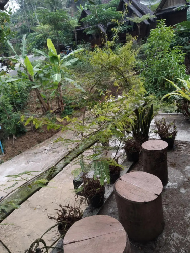 Asifa Homestay