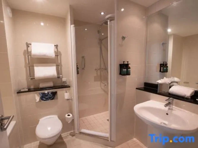 1 Bedroom Single Suite